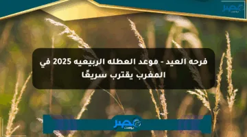فرحة العيد – موعد العطلة الربيعية 2025 في المغرب يقترب سريعًا